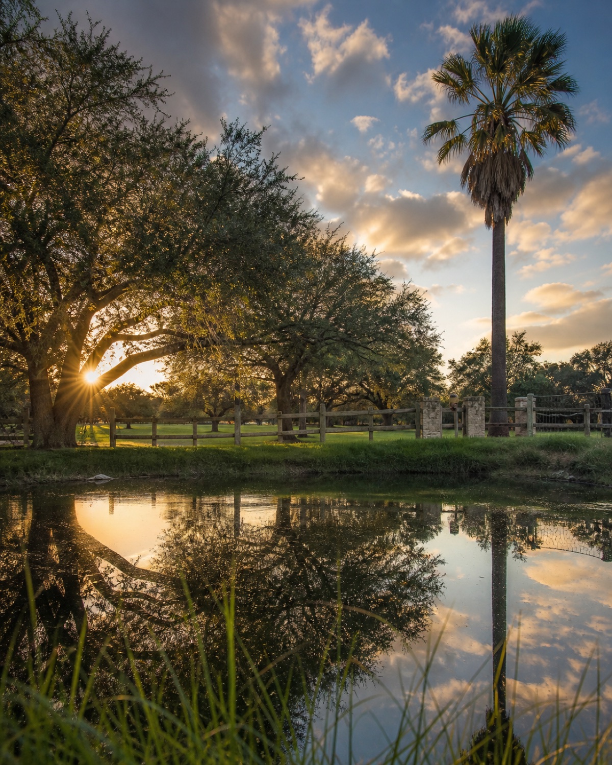 Los Fresnos, South Texas